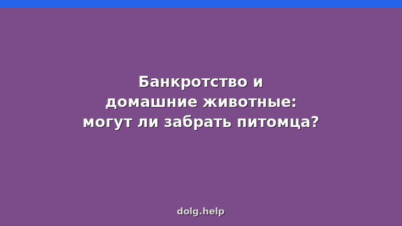 Домашние животные и банкротство: могут ли забрать питомца? Разбор закона и судебной практики.