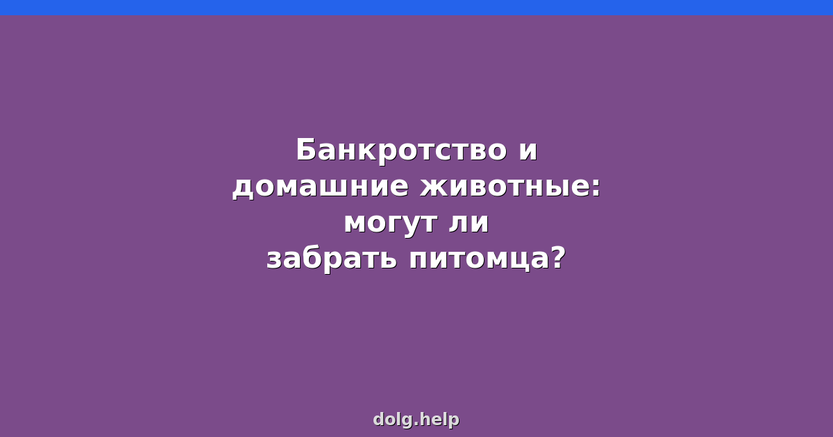 Банкротство и домашние животные: могут ли забрать питомца?