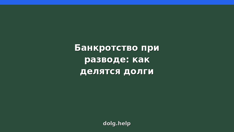 Раздел долгов при разводе и банкротстве физических лиц — таблица и советы юриста