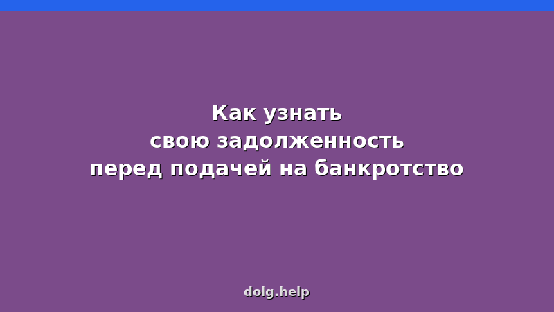 Способы проверки задолженности перед банкротством: ФССП, Госуслуги, кредитные истории — 2026