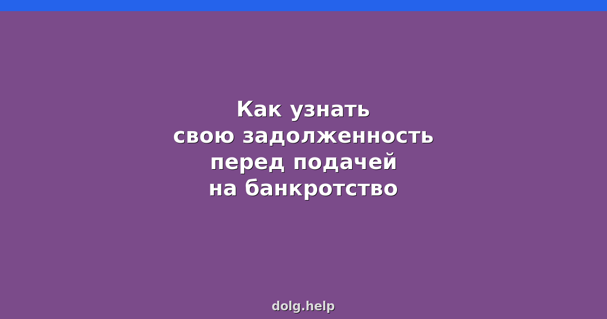 Как узнать свою задолженность перед подачей на банкротство