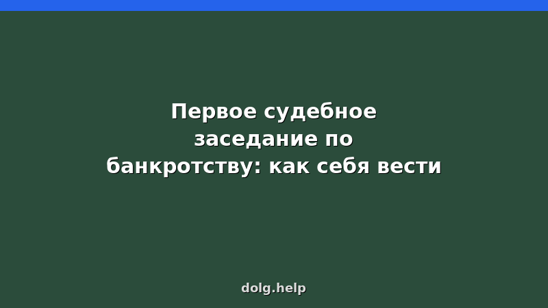 Первое судебное заседание по банкротству: подготовка, поведение, документы