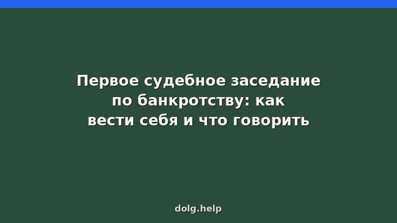 Первое судебное заседание по банкротству: как подготовиться, что говорить, документы и советы юриста